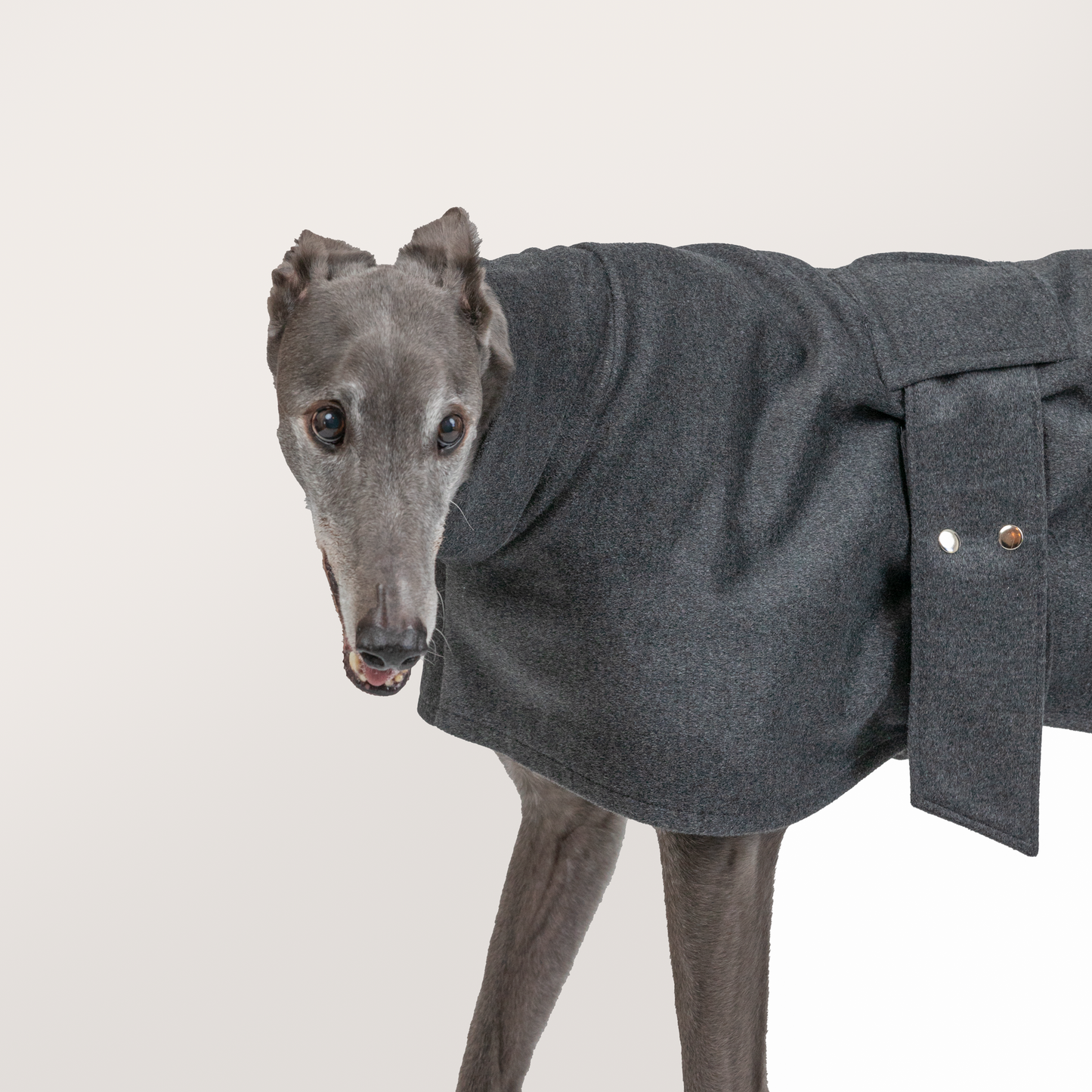 Houndgrey: Dark Storm Grey (Cashmere Wool Blend)