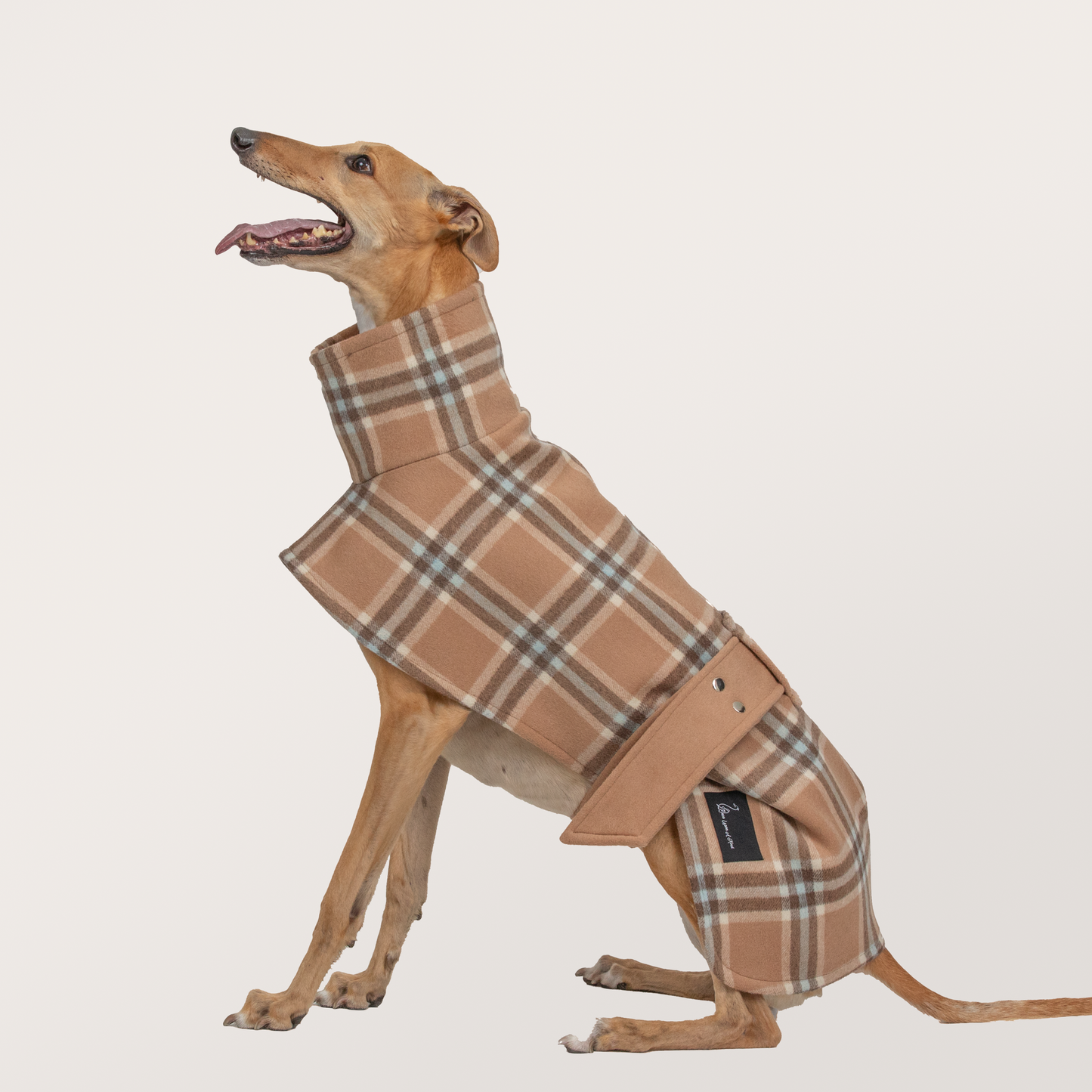 Greyhoundberry: Camel & Check (100% Wool)