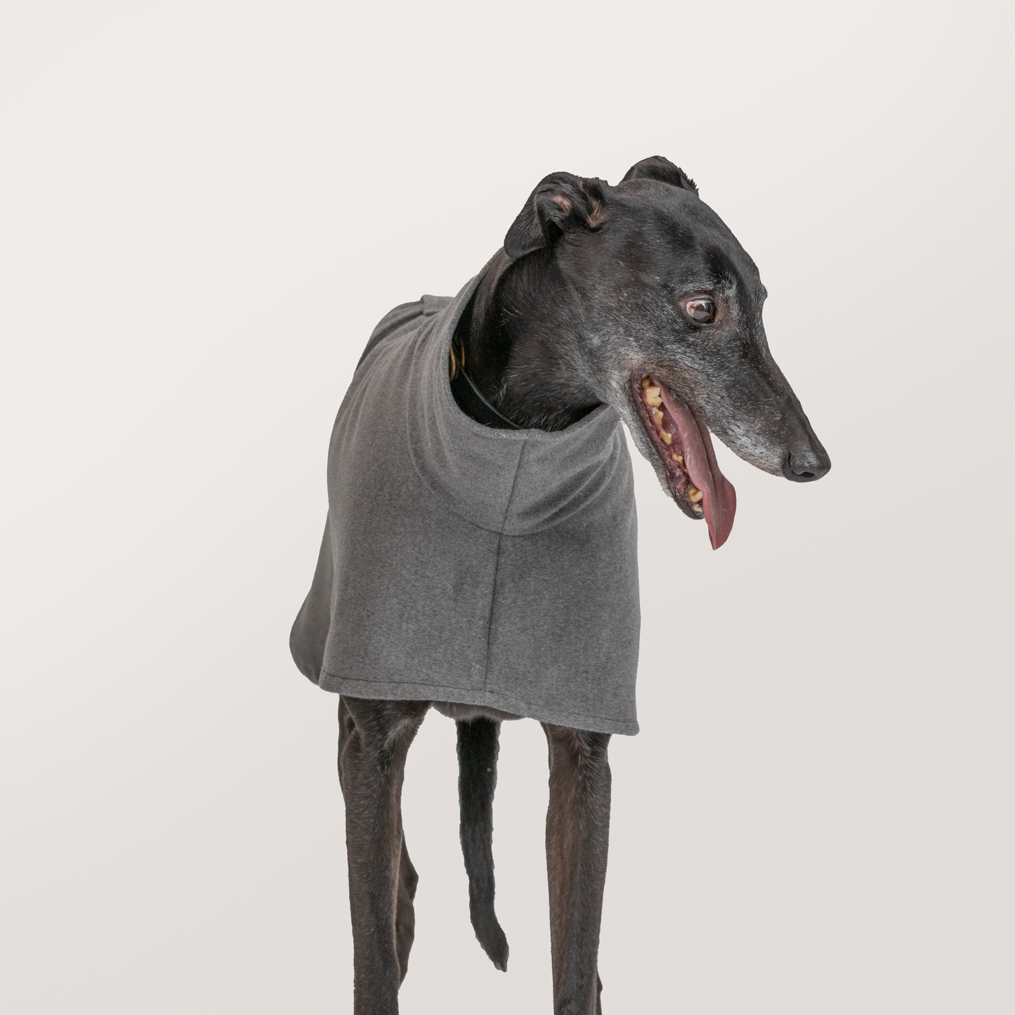 Houndgrey: Mid Sand Grey (Wool Blend)