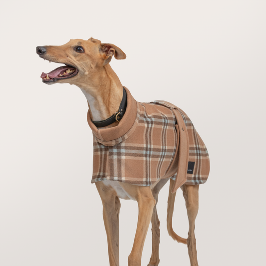 Greyhoundberry: Camel & Check (100% Wool)
