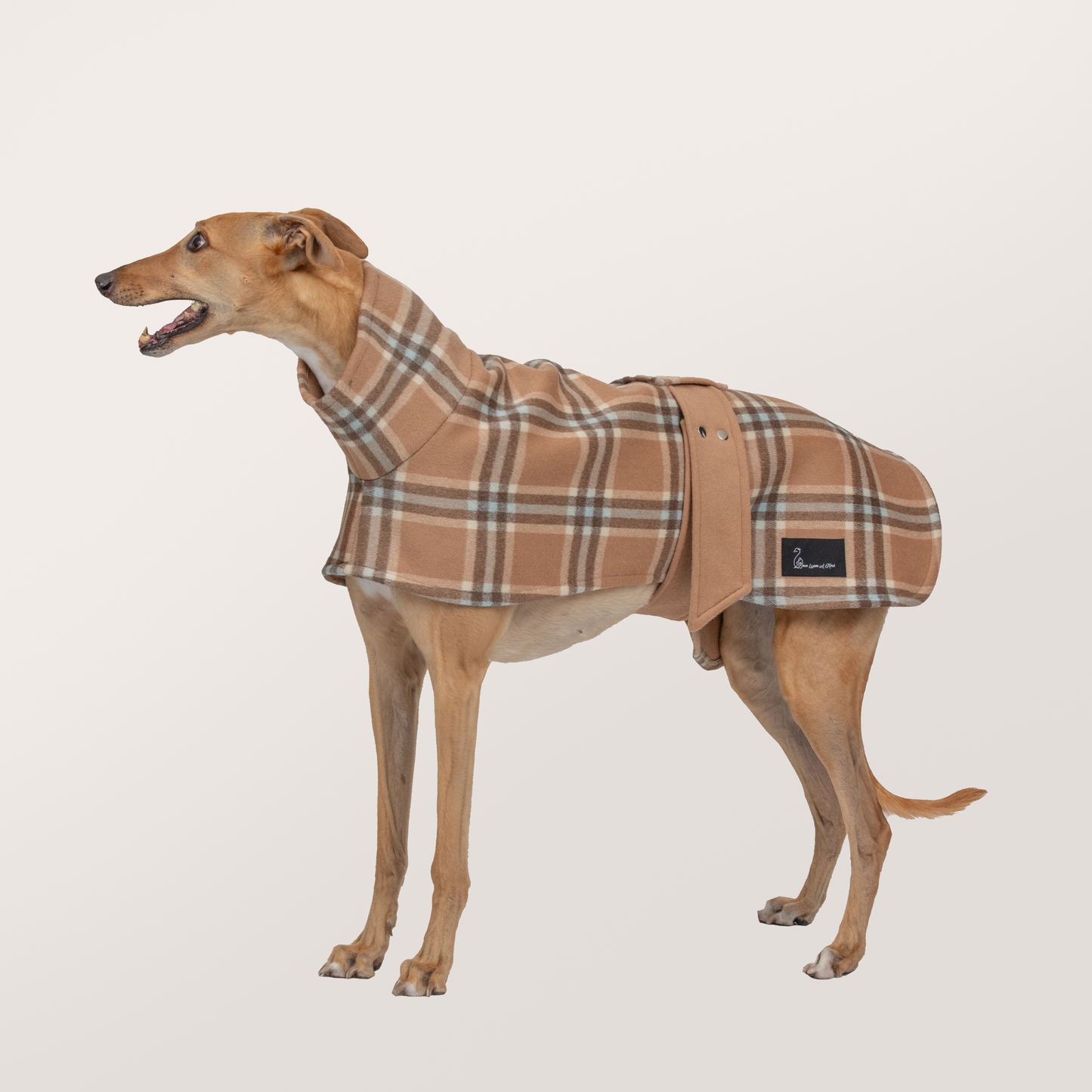 Greyhoundberry: Camel & Check (100% Wool)