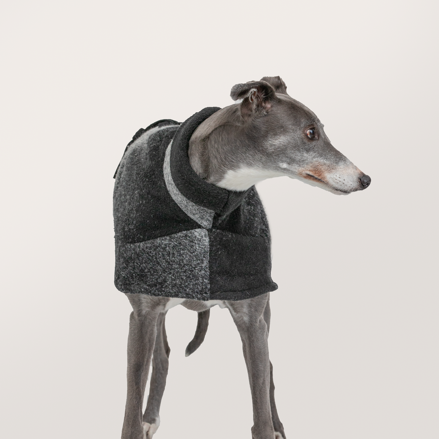 Upcycled from Verge, New Zealand